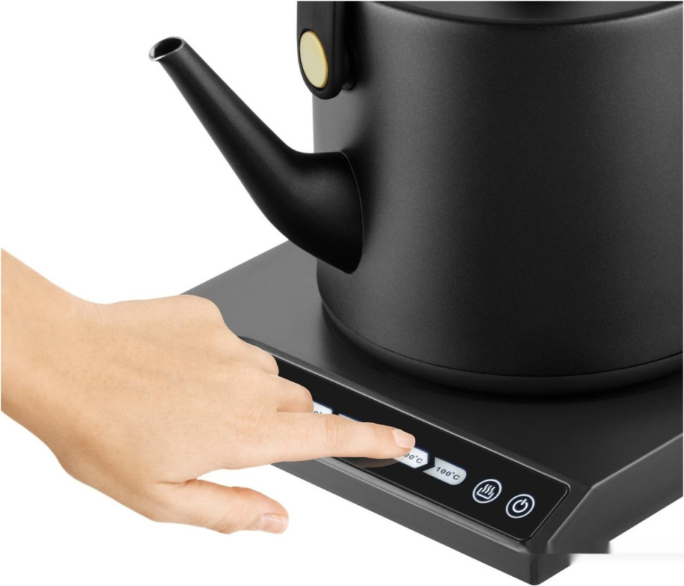 Электрический чайник Catler BM 501 Victoria
