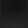 Электронная книга Onyx BOOX MAX Lumi