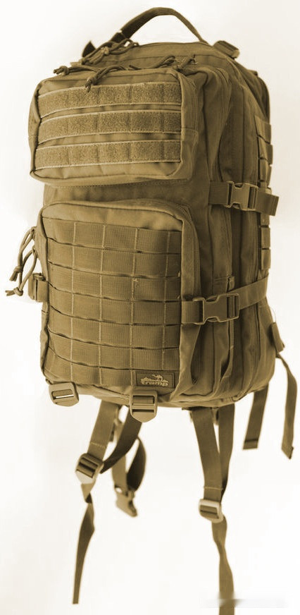 Рюкзак Tramp Squad 35 (песочный)