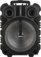 Музыкальный центр Telefunken TF-PS2306