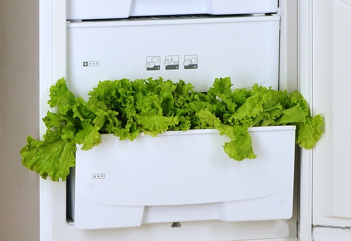 Холодильник с нижней морозильной камерой Pozis RK-102 S