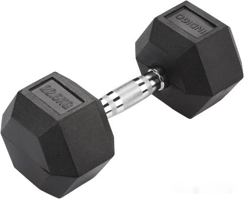 Гантель Indigo IN124 22.5 кг