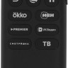 Телевизор Sber SDX-43F3000DSA Телевизор Sber SDX-43F3000DSA