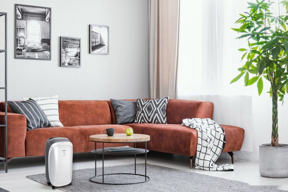 Осушитель воздуха Funai Neko S RAD-N10F3E Осушитель воздуха Funai Neko S RAD-N10F3E