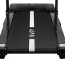 Беговая дорожка Alpin Glace T-176 Беговая дорожка Alpin Glace T-176