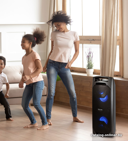 Музыкальный центр Toshiba TY-ASC51