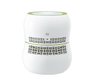 Мойка воздуха LG HW306LGE0 Mini On