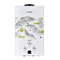 Водонагреватель Edisson E 20 GD (каннская ветвь)