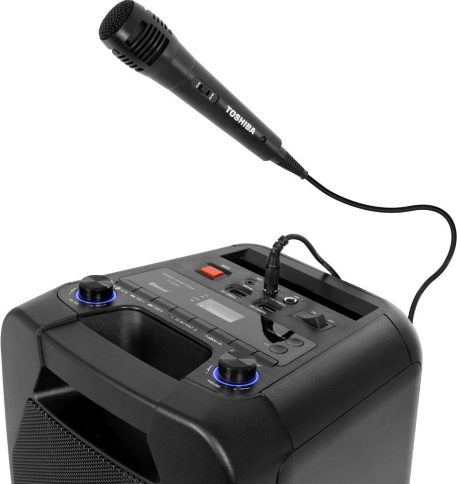 Музыкальный центр Toshiba TY-ASC66