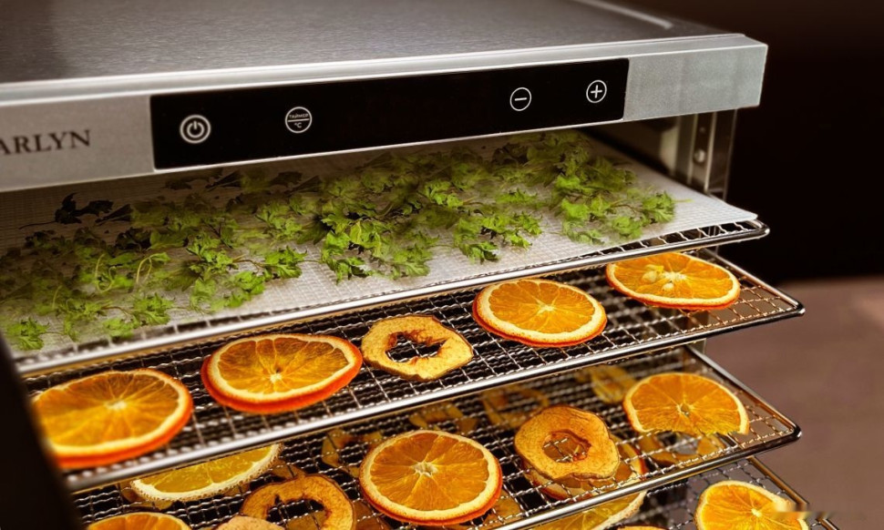 Сушилка для овощей и фруктов Garlyn D-10
