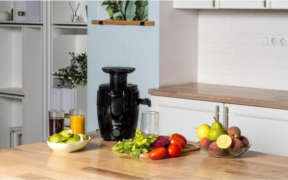 Соковыжималка Garlyn J-150 Соковыжималка Garlyn J-150