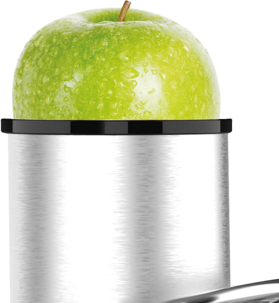 Соковыжималка Zigmund & Shtain EJ-756