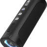 Портативная акустика Tronsmart T6 Pro