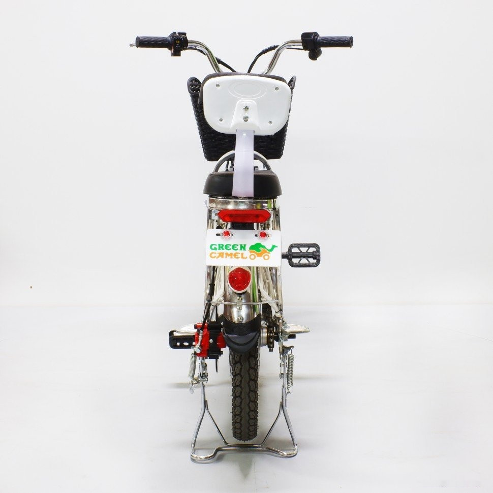 Электровелосипед GreenCamel Транк-18 V2 R18 (250W 60V 20Ah)