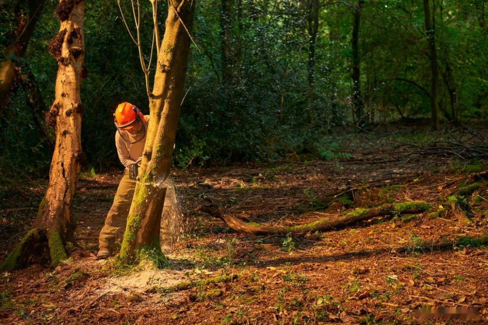 Аккумуляторная пила Ryobi RY36CSX35A-150 (с АКБ 5 Ah) Аккумуляторная пила Ryobi RY36CSX35A-150 (с АКБ 5 Ah)