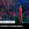 Телевизор Samsung Crystal UHD 4K CU8000 UE55CU8000UXRU