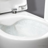 Унитаз Laufen Pack Pro Rimless 869966000000R Унитаз Laufen Pack Pro Rimless 869966000000R