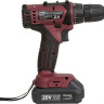 Дрель-шуруповерт Pioneer Tools CD-M2002C-USP (с 2-мя АКБ, кейс, оснастка)