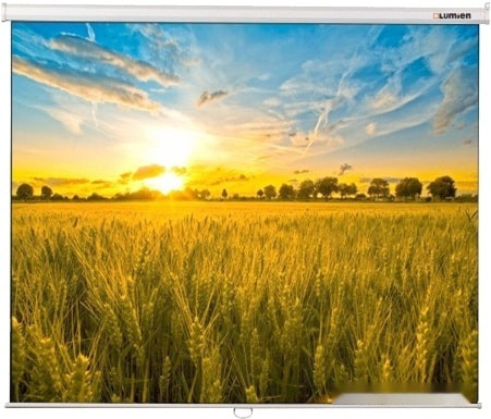 Проекционный экран Lumien Eco Picture 164x240 LEP-100118