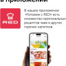 Электрический чайник RED Solution AM101