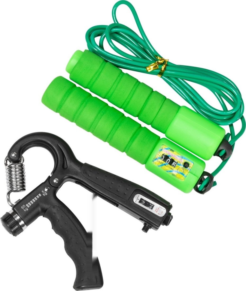 Беговая дорожка Alpin Reise T-173 Беговая дорожка Alpin Reise T-173