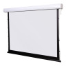 Проекционный экран Digis Prime 246x170 DSTP-16904 Проекционный экран Digis Prime 246x170 DSTP-16904