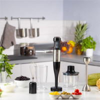 Блендер Zelmer ZHB4752 Vario