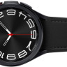 Умные часы Samsung Galaxy Watch6 Classic 43 мм LTE (черный)
