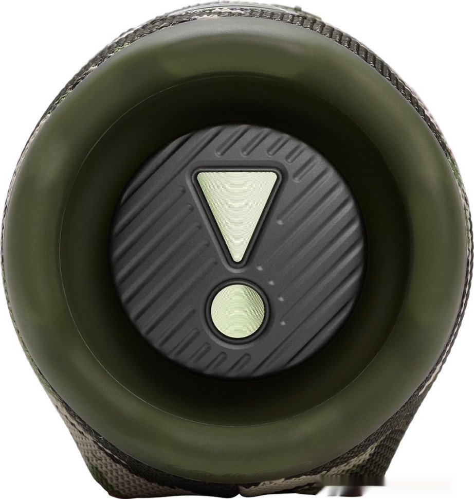 Портативная акустика JBL Charge 6 (камуфляж)