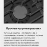 Варочная панель Hansa BHGS630301
