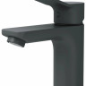 Смеситель Am.Pm F88A02122 (черный) Смеситель Am.Pm F88A02122 (черный)