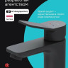 Смеситель Am.Pm F88A02122 (черный) Смеситель Am.Pm F88A02122 (черный)