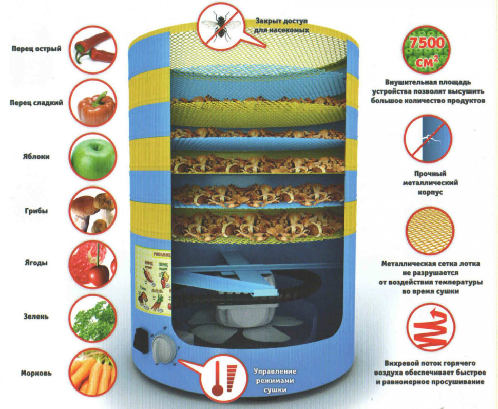 Сушилка для овощей и фруктов Элвин СУ-1