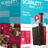 Соковыжималка Scarlett SC-JE50S48