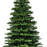 Ель GreenTerra Эксклюзив Слим 5 м