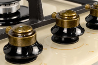 Варочная панель ZorG Technology BP6 FDW RCR