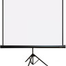Проекционный экран PL Magna TRM-AV-96 Проекционный экран PL Magna TRM-AV-96