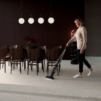 Пылесос Electrolux PQ91-40GG