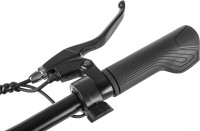 Электровелосипед MyWay Let 250 26 (бронзовый)