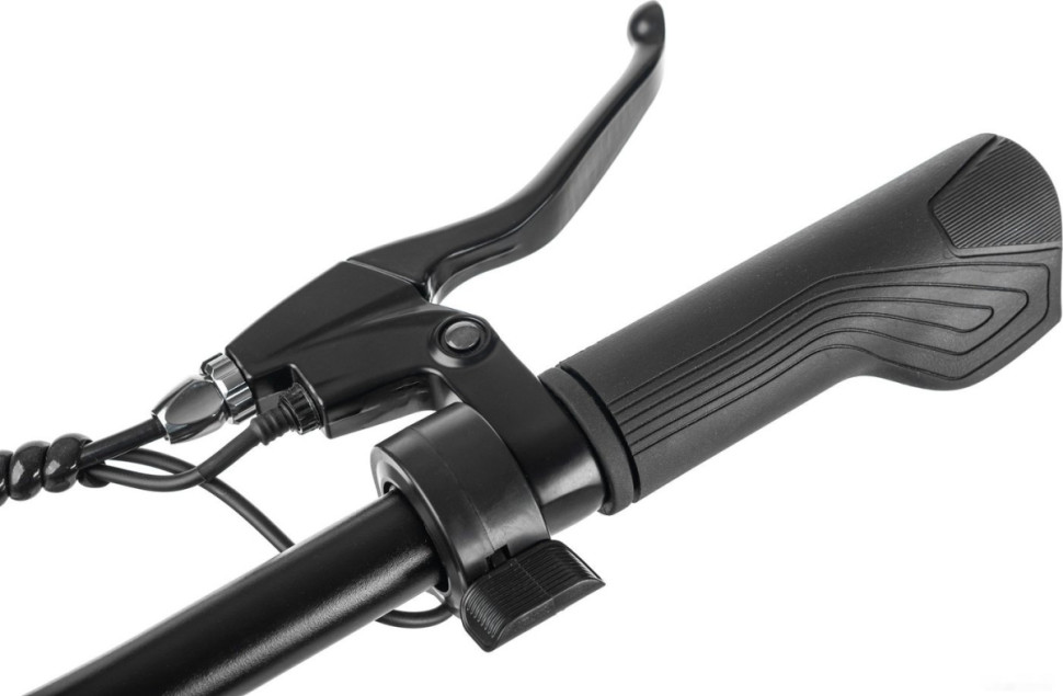 Электровелосипед MyWay Let 250 26 (бронзовый) Электровелосипед MyWay Let 250 26 (бронзовый)