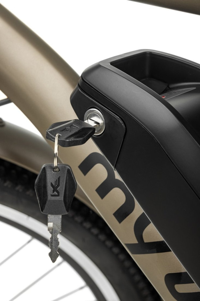 Электровелосипед MyWay Let 250 26 (бронзовый) Электровелосипед MyWay Let 250 26 (бронзовый)