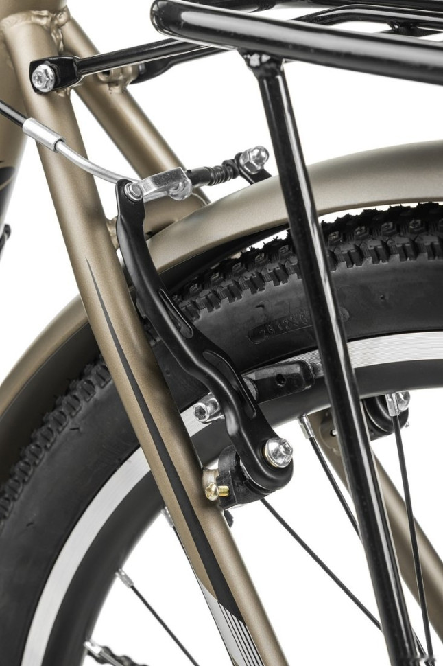 Электровелосипед MyWay Let 250 26 (бронзовый) Электровелосипед MyWay Let 250 26 (бронзовый)