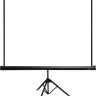 Проекционный экран PL Magna TRM-NTSC-120D Проекционный экран PL Magna TRM-NTSC-120D