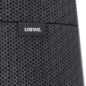 Портативная акустика Loewe Klang MR3