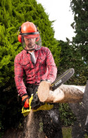 Электрическая пила Ryobi RCS2340B