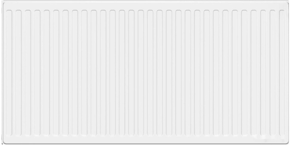 Радиатор Лемакс Compact 22 300x1000