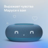 Умная колонка VK Капсула Мини (морской синий)