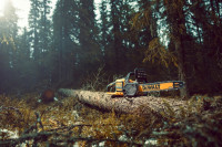 Аккумуляторная пила DeWALT DCM575N-XJ (без АКБ)