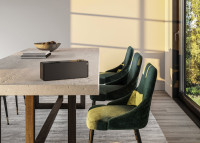 Портативная акустика Loewe Klang S1 (серебристый)