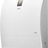 Проветриватель без нагрева Ballu Oneair ASP-200SP